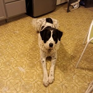 Meet your Posher, Anne